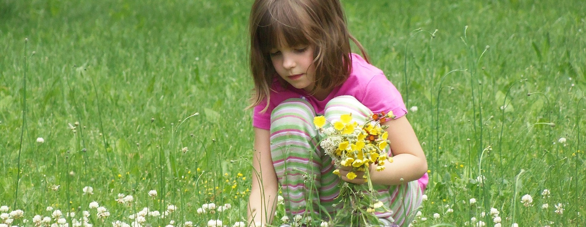 Little Lady Picking Flowers in Utah | Kids Car Donations