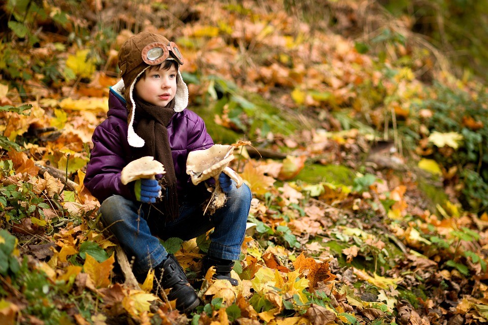 Little Kid on an Autumn Season | Kids Car Donations