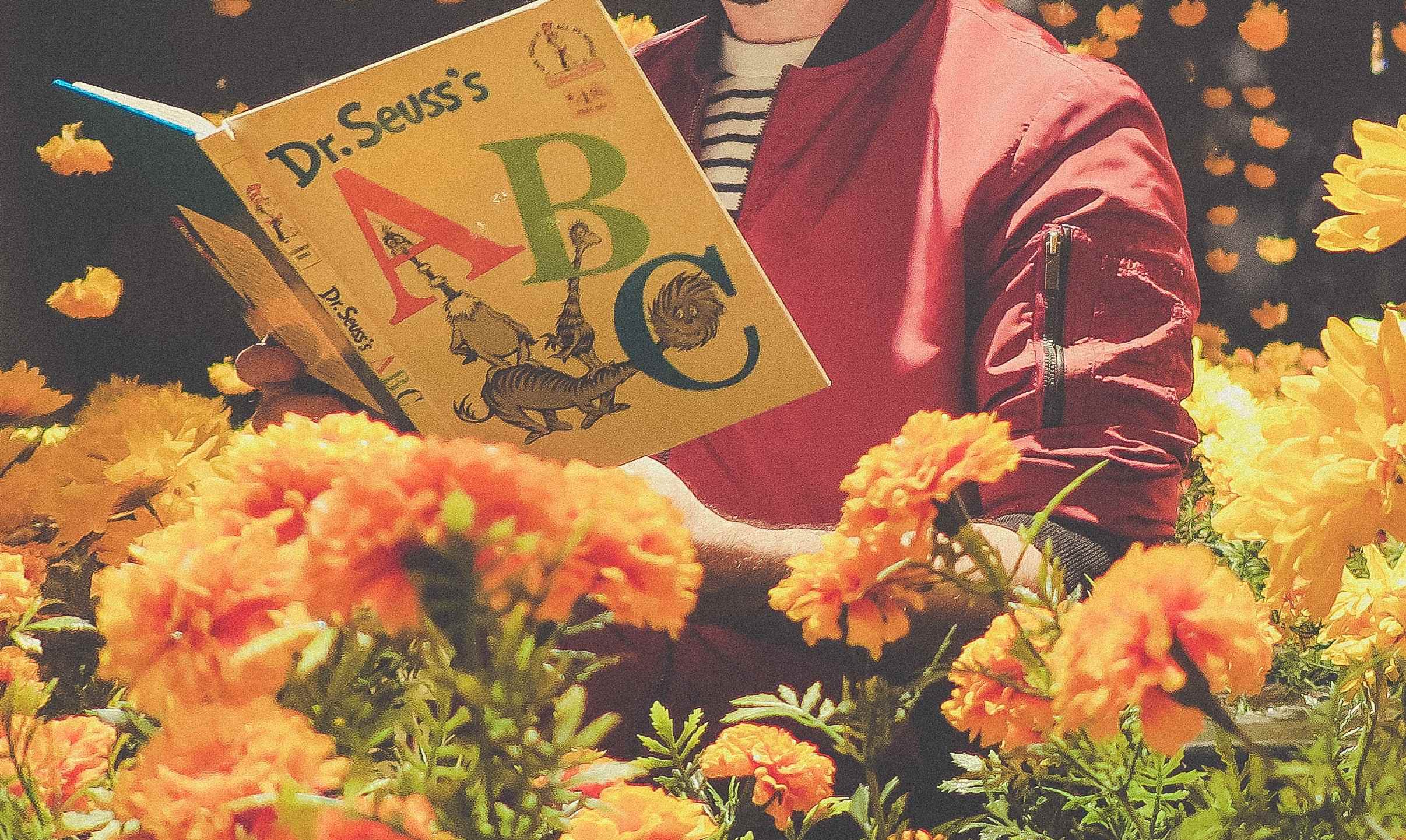 Seuss’ ABC: An Amazing Alphabet Book! | Kids Car Donations