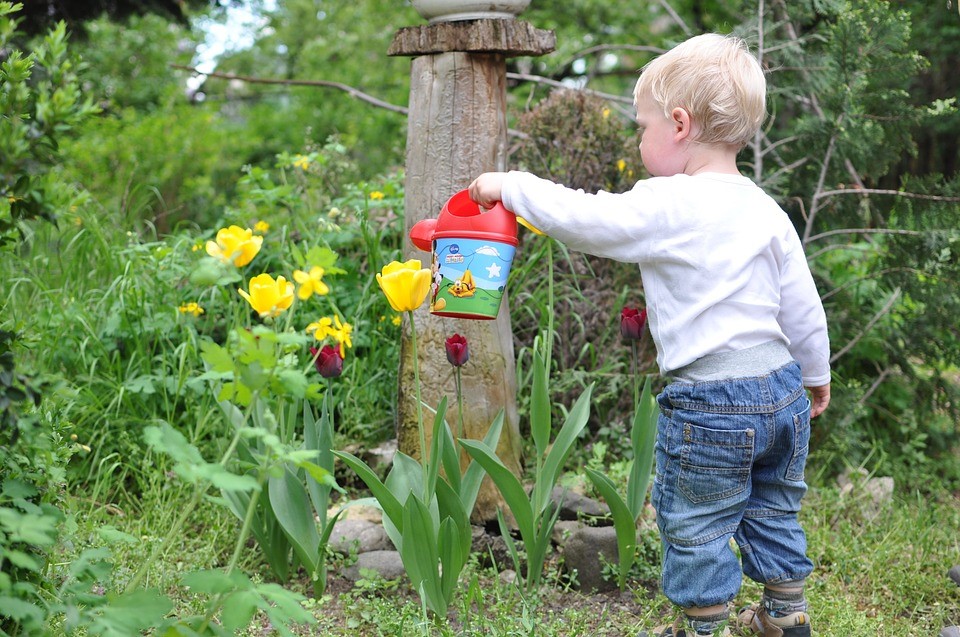 Little Kid Flowering a Plant | Kids Car Donations