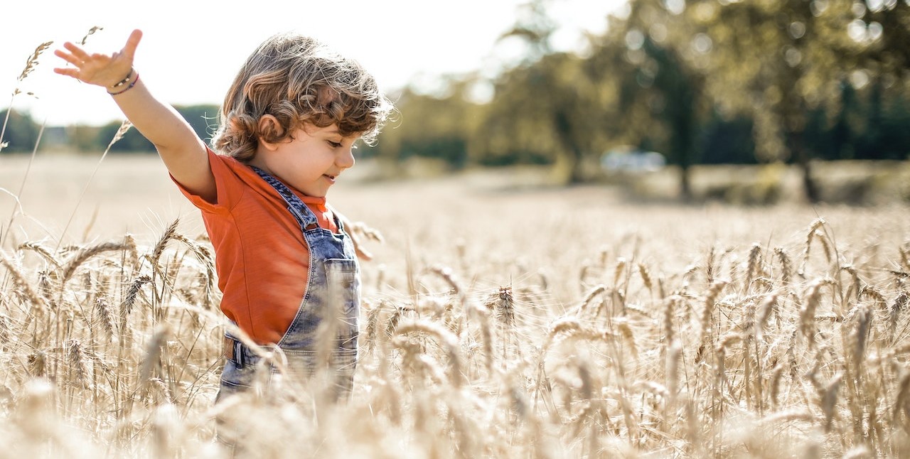 Little Boy in Wheat Field | Kids Car Donations