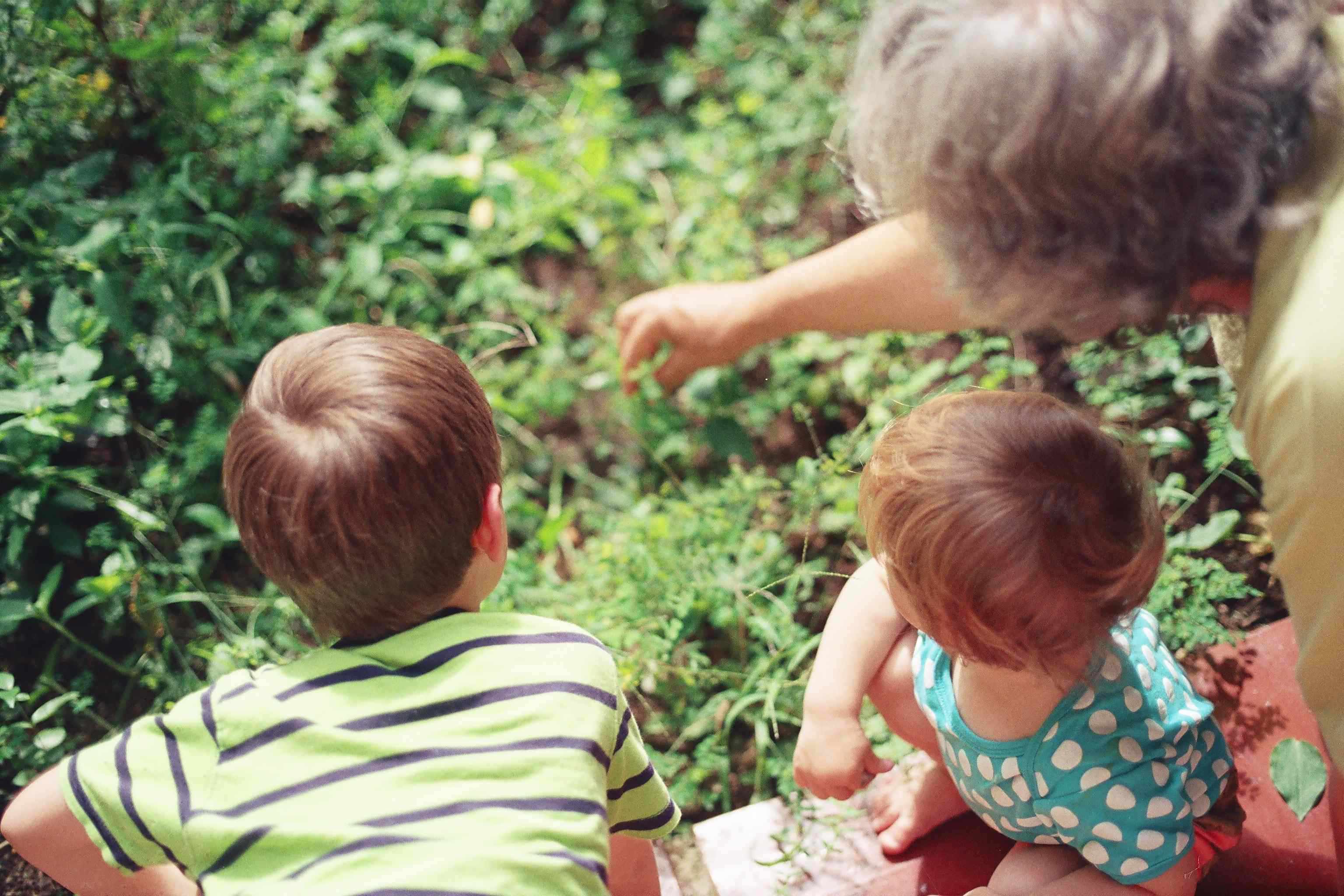 Kids And Grandma Exploring Nature | Kids Car Donations