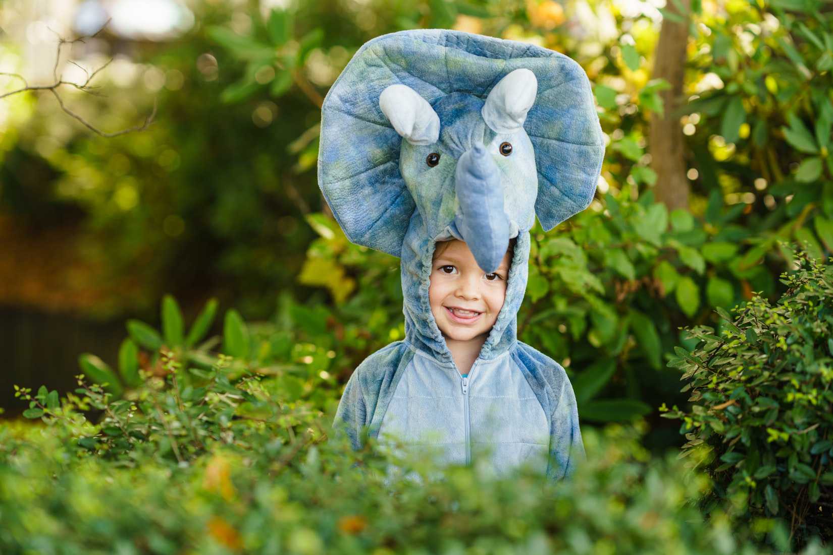 Kid Wearing Elephant Costume for Halloween | Kids Car Donations