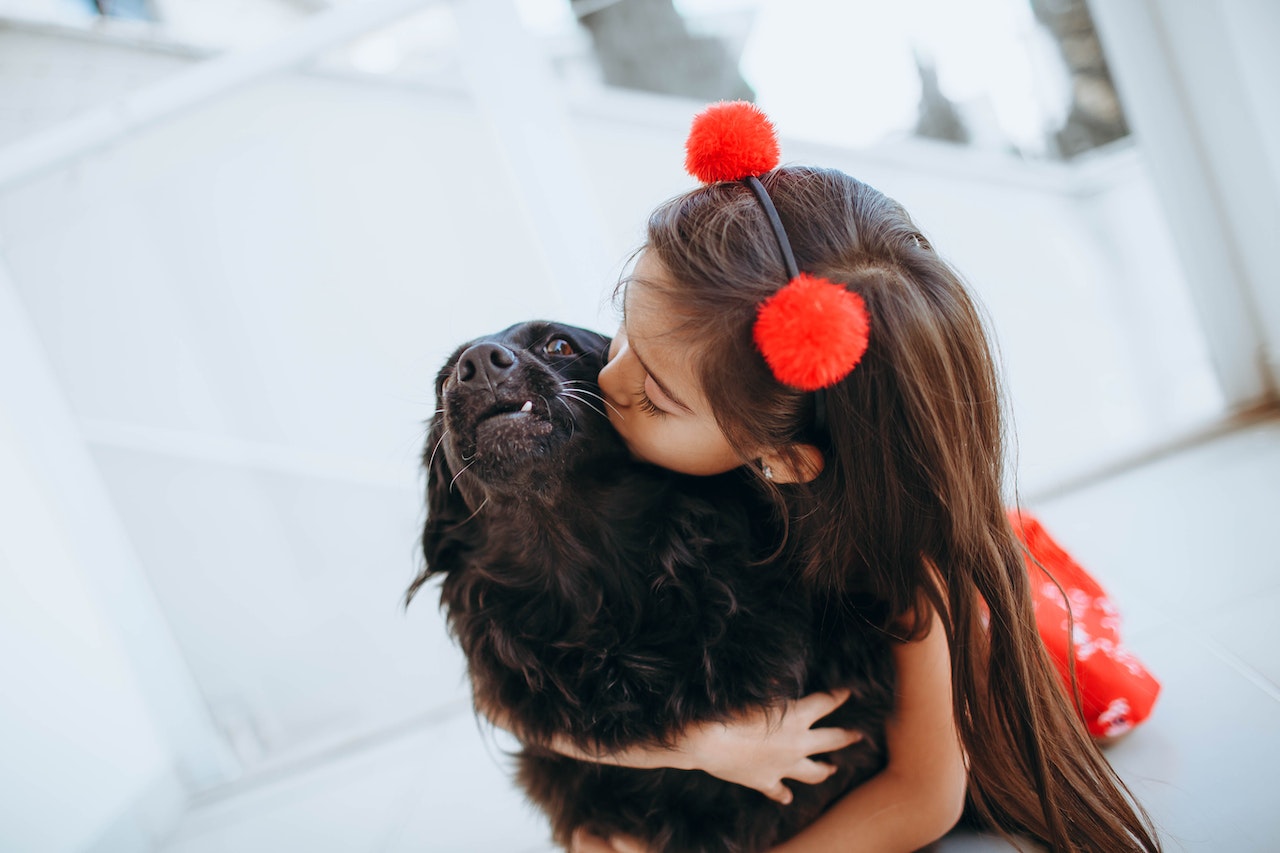 Adorable child kissing and hugging dog | Kids Car Donations