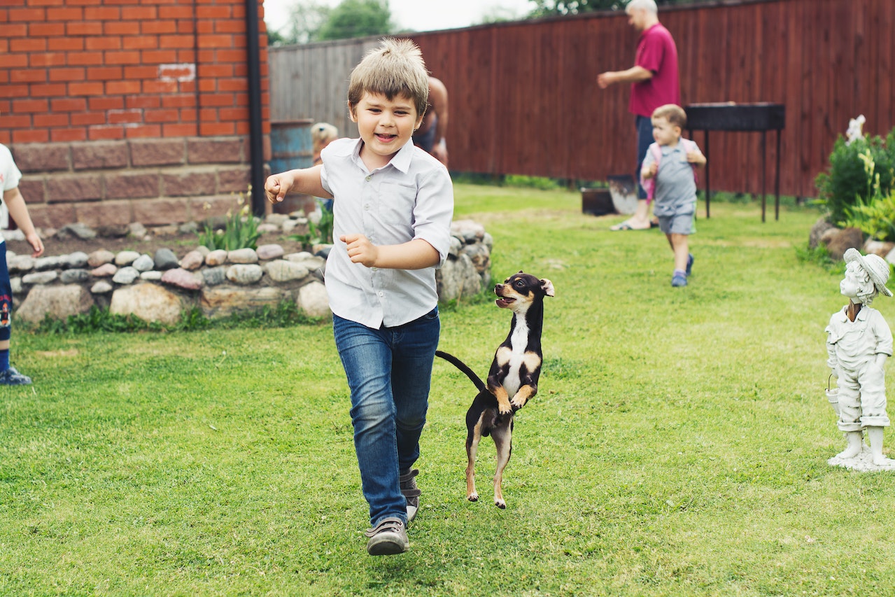 Photo Of Dog Beside Boy | Kids Car Donations