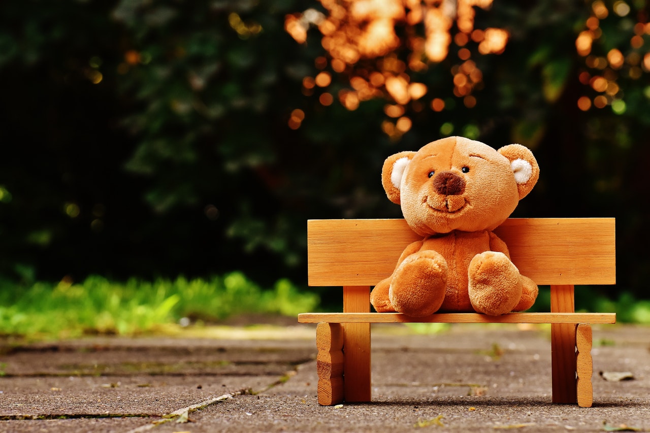 Teddy Bear Sitting on a Toy Bench | Kids Car Donations