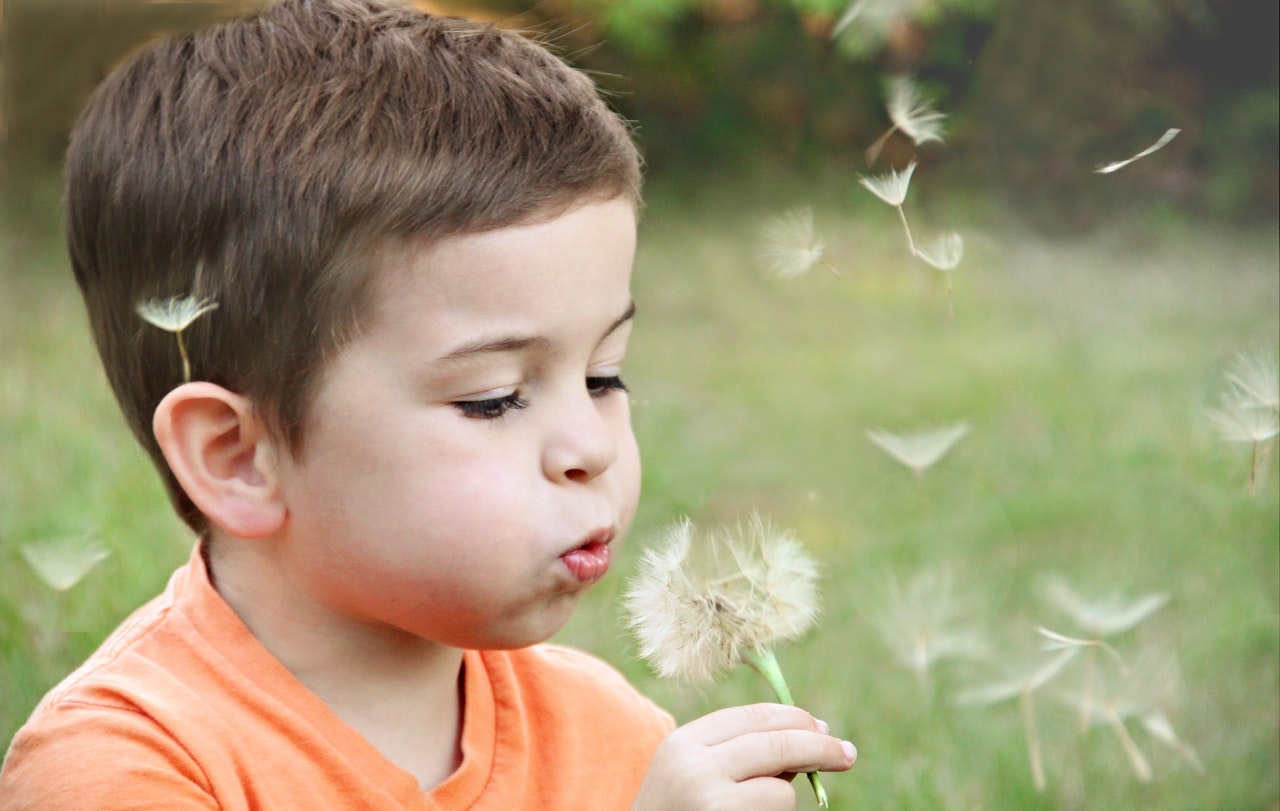 Boy Wearing Orange Shirt Blowing on Dandelion | Kids Car Donations