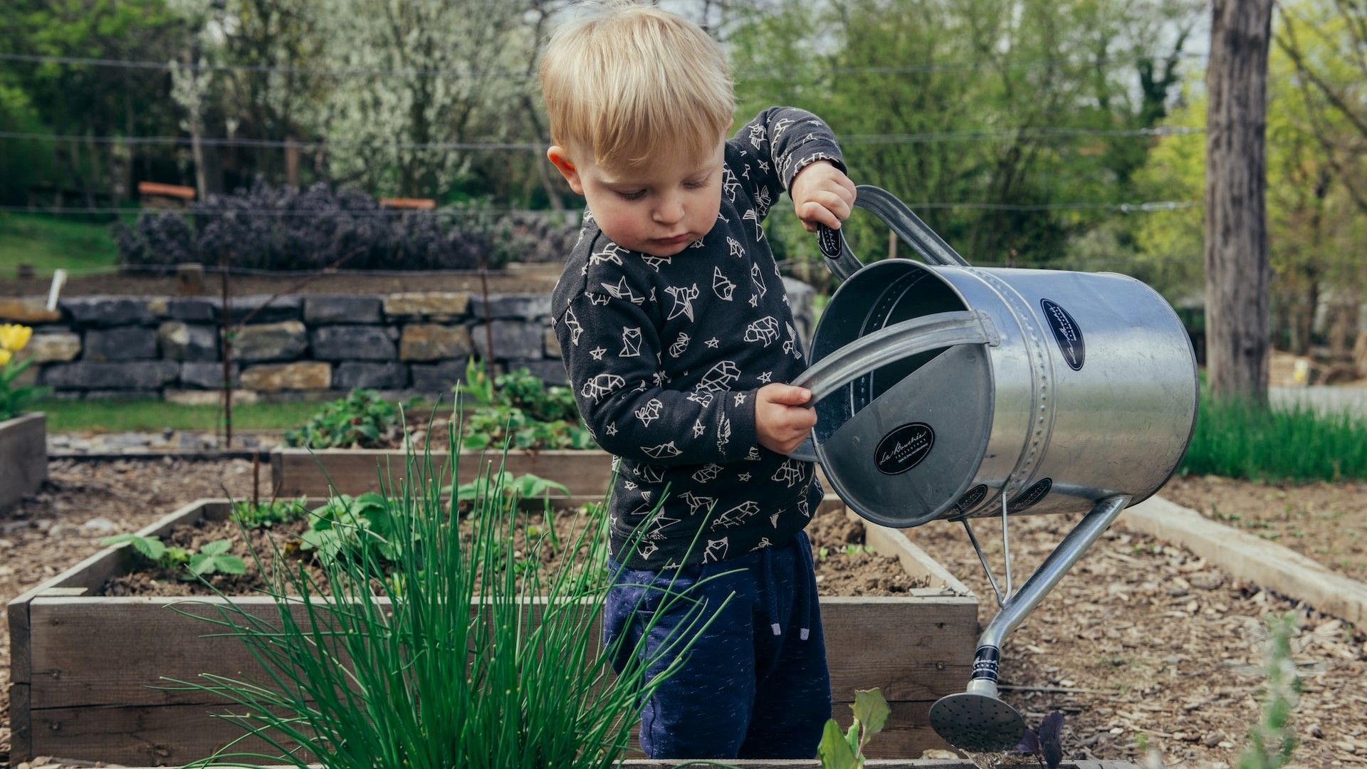 Kid watering a plant | Kids Car Donations