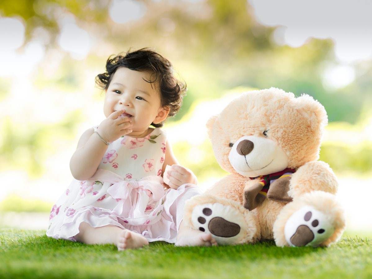 Beside Bear Plush Toy at Daytime | Kids Car Donations
