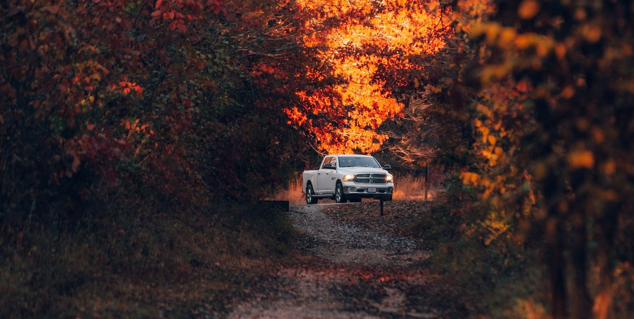 Car on the Dirt Road in the Autumn Forest | Kids Car Donations