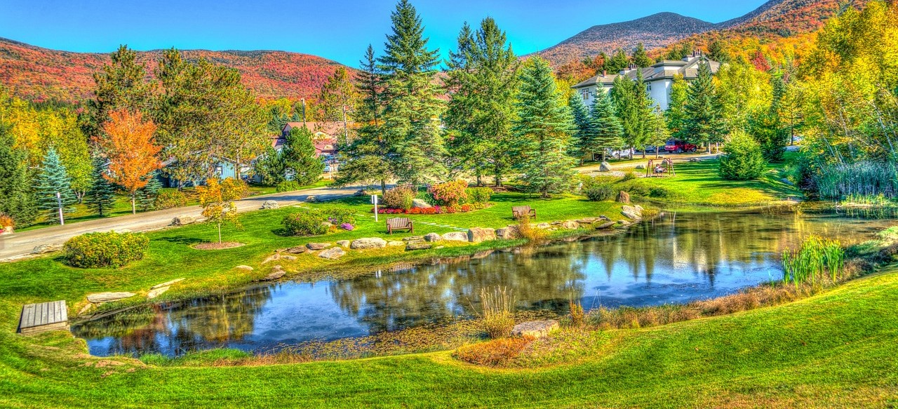 Pond in Vermont | Kids Car Donations