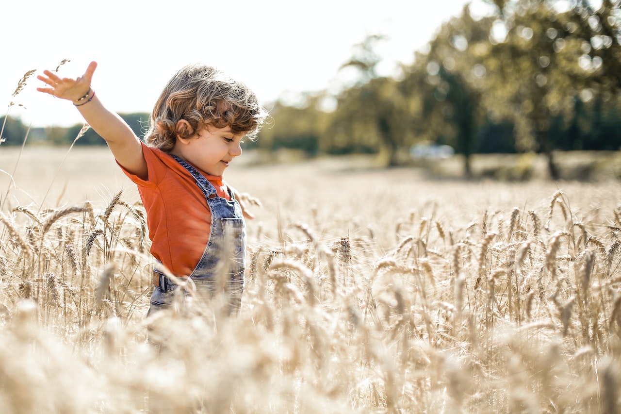 Little boy in wheat field | Kids Car Donations