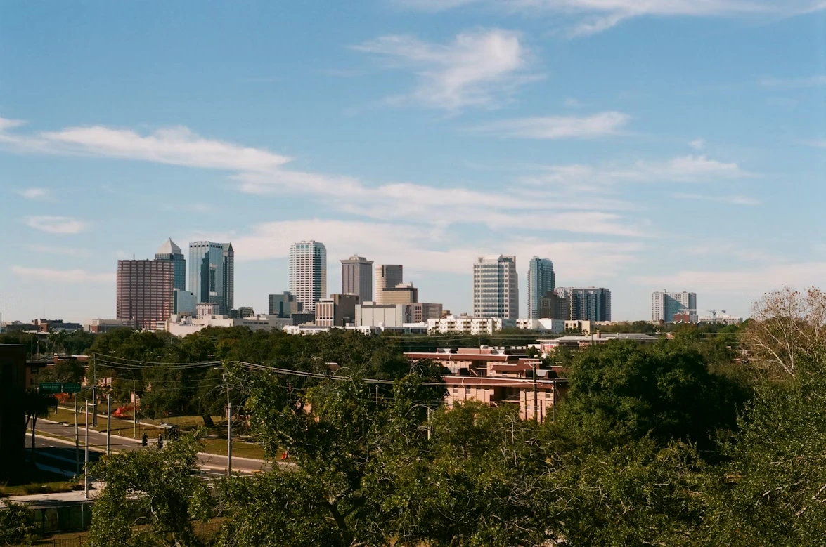 Tampa city skyline with trees and buildings in the foreground