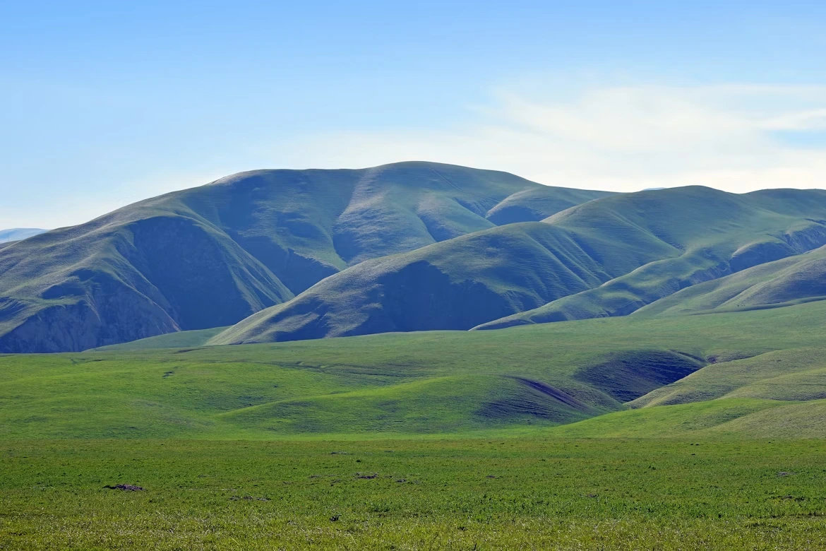 Green field with mountain at Wind Wolves Preserve in Bakersfield, California