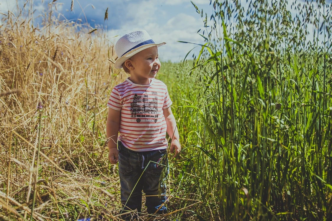 Boy standing between green and withered grasses in a sunny field