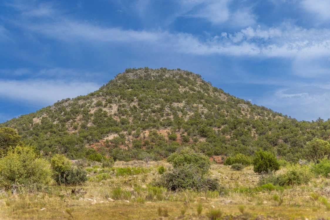 Green hill in the countryside near El Paso, Texas