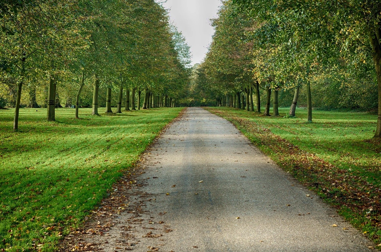Scenic trail in Modesto, California