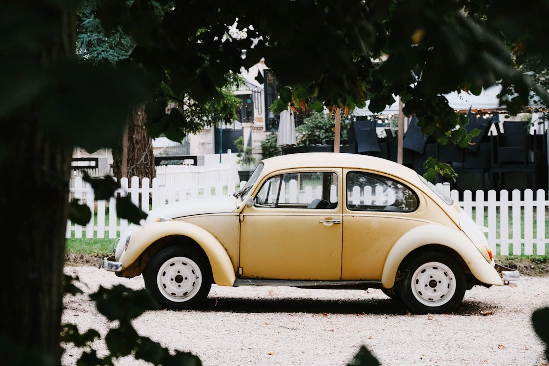 Yellow Volkswagen Beetle on street