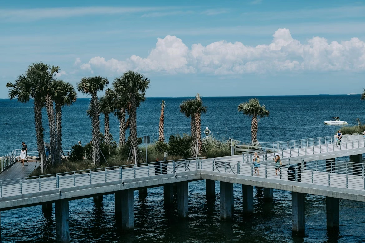 White wooden dock on a body of water during daytime in St. Petersburg, Florida