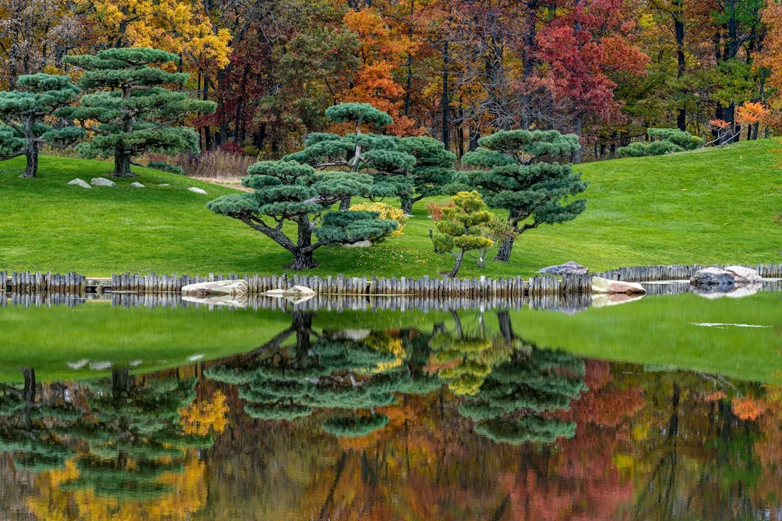 Wooden bridge near lawn with autumn trees reflecting in pond in Rockford, Illinois