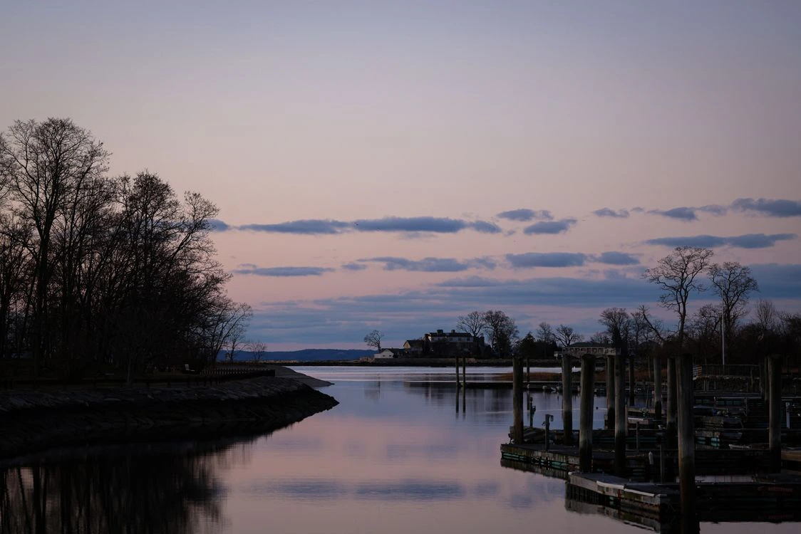Trees along a lakeshore during sunset with reflections on the water